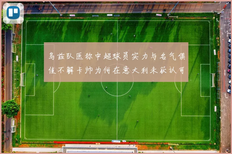 乌兹队医称中超球员实力与名气俱佳不解卡帅为何在意大利未获认可