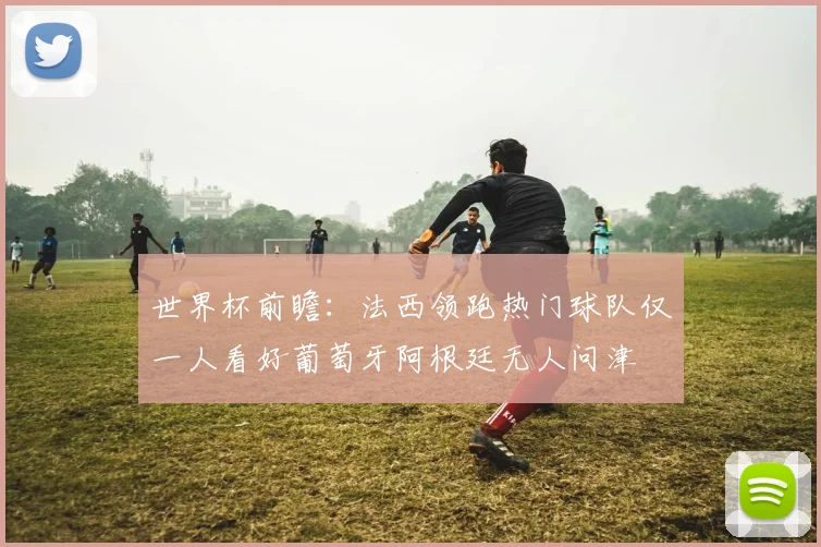 世界杯前瞻：法西领跑热门球队仅一人看好葡萄牙阿根廷无人问津